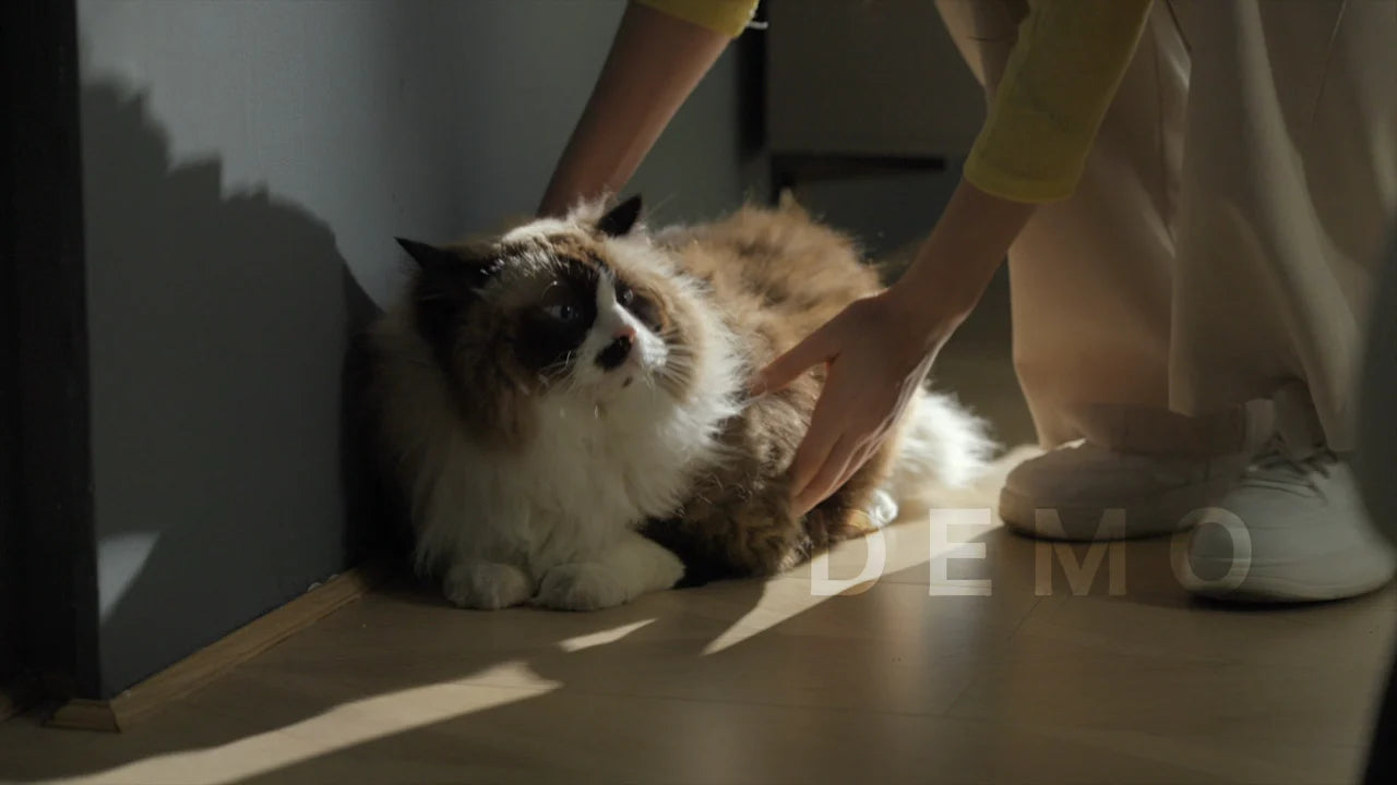 Hanakuto product film